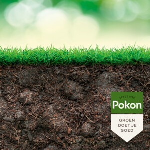 Pokon Biologische Kuur Voor een Weerbaar en Gezond Gazon Concentraat - 10.25 euro