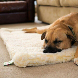 HuggleHounds Hondenmat Natural Medium 61 x 93 cm
