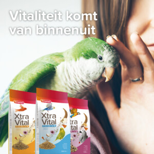 Beaphar XtraVital Kanarie 500 gr