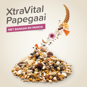 5x Beaphar XtraVital Papegaai