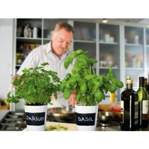 Buzzy Kruiden Set 3-delig Krijtpotten Wit - 10.05 euro
