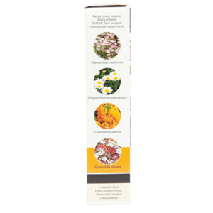 Buzzy Friendly Flowers 15 m² Zomerbloemen - 4.55 euro