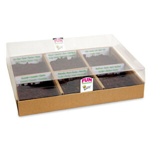 Buzzy Starterskit Kweekset Tea Time - 4.75 euro