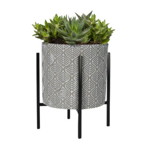 Buzzy House Plants Plantenpot in Standaard met Aloe Vera Zaden - 11.35 euro