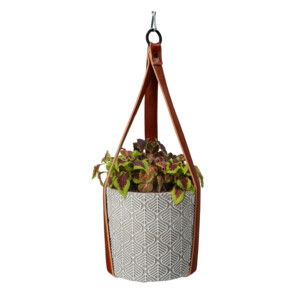 Buzzy House Plants Hangende Plantpot met Coleus zaden - 11.99 euro