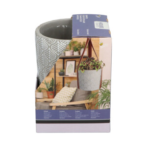 Buzzy House Plants Hangende Plantpot met Coleus zaden - 11.99 euro