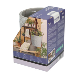 Buzzy House Plants Hangende Plantpot met Coleus zaden - 11.99 euro