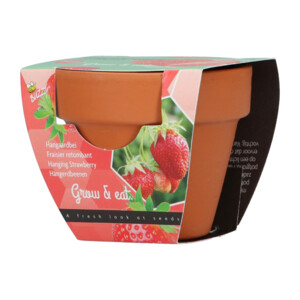 Buzzy Groeicadeautje Aardbei - 1.09 euro