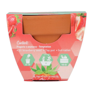 Buzzy Groeicadeautje Aardbei - 1.09 euro