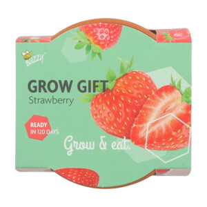 Buzzy Groeicadeautje Aardbei - 1.09 euro