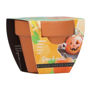Buzzy Groeicadeautje Pompoen - 1.09 euro