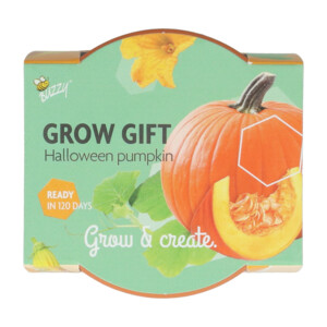 Buzzy Groeicadeautje Pompoen - 1.09 euro