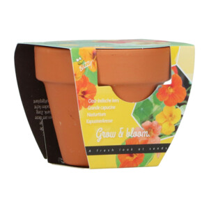 Buzzy Groeicadeautje Oost-Indische Kers - 1.09 euro