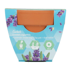 Buzzy Groeicadeautje Lavendel - 1.09 euro