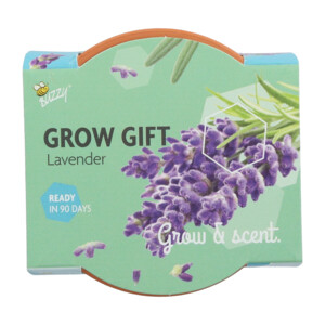 Buzzy Groeicadeautje Lavendel - 1.09 euro
