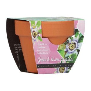 Buzzy Groeicadeautje Passiflora - 1.09 euro