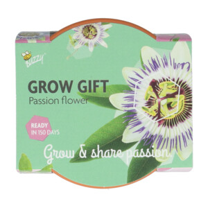 Buzzy Groeicadeautje Passiflora - 1.09 euro