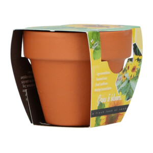 Buzzy Groeicadeautje Zonnebloem - 1.09 euro