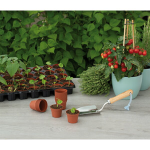 SOGO Plastic Potje Terra Kleur 6 cm - 2.99 euro