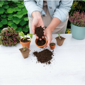 SOGO Biologische Zaai en Stekgrond - 3.09 euro