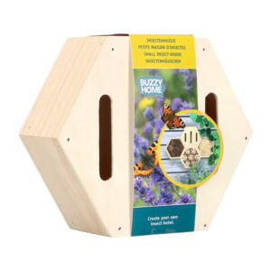 Bûten Home Insectenkast Hexagon Vlinder - 6.25 euro