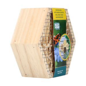Bûten Home Insectenkast Hexagon Insecten - 4.49 euro
