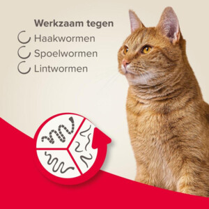 Beaphar All-in-one Ontworming Tabletten Kat Vanaf 1 kg - 10.79 euro