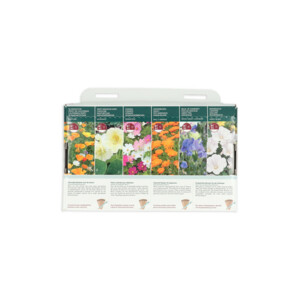 Buzzy Collection Kweekset 6 Kleurrijke Bloemen Voor De Starter - 6.35 euro