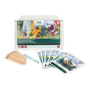 Buzzy Collection Kweekset 6 Kleurrijke Bloemen Voor De Starter - 6.35 euro