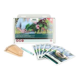 Buzzy Collection Kweekset 6 Vrolijke Bij- En Vlinderbloemen - 6.35 euro