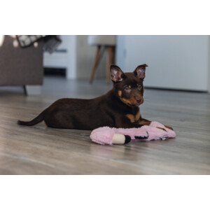 Beeztees Pup Flatino Flamingo Fe Roze 