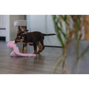 Beeztees Pup Flatino Flamingo Fe Roze 