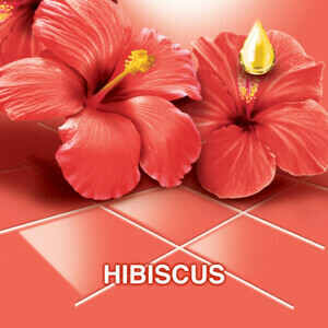 Ajax Allesreiniger Fete de Fleur Hibiscus - 2.35 euro