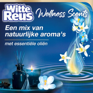 10x Witte Reus Toiletblok Wellness Scents Vitality - 12.05 euro