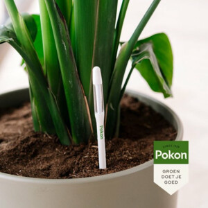 Pokon Watermeter - 7.99 euro