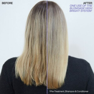 Redken Blondage High Bright Shampoo - 22.69 euro