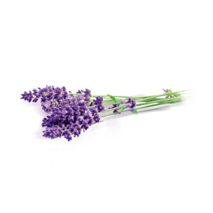 Rubson Vochtopnemer Navullingen Sensation Lavendel - 17.15 euro
