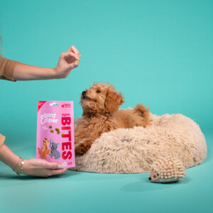 Edgard & Cooper Puppy Bite S Eend & Kip 120 gr