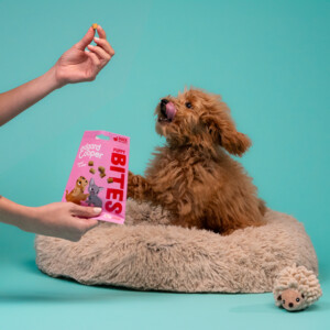 Edgard & Cooper Puppy Bite S Eend & Kip 50 gr