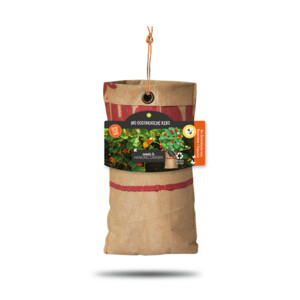Baza Hangtuintjes Set Bloemen - 16.99 euro