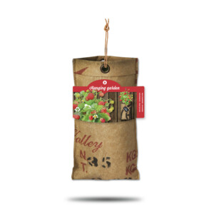 Baza Hangtuintjes Set Aardbeien - 16.99 euro