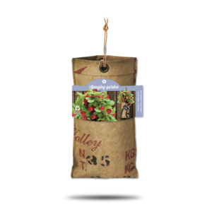 Baza Hangtuintjes Set Aardbeien - 16.99 euro