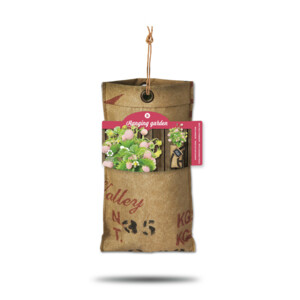 Baza Hangtuintjes Set Aardbeien - 16.99 euro