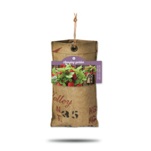 Baza Hangtuintjes Set Aardbeien - 16.99 euro