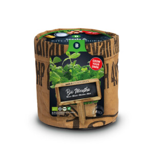 Baza Keukentuintjes Set Kruiden - 16.25 euro