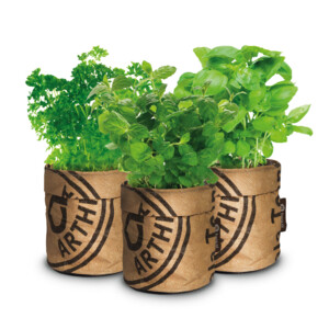 Baza Keukentuintjes Set Kruiden - 16.25 euro