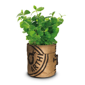 Baza Keukentuintjes Set Kruiden - 16.25 euro