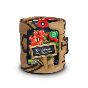 Baza Keukentuintjes Set Kruiden Groot - 20.65 euro