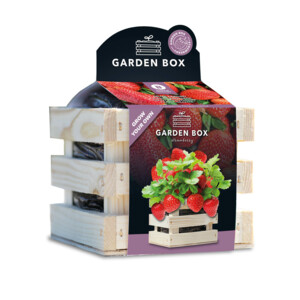 Baza Gardenbox Set Aardbeien - 20.95 euro