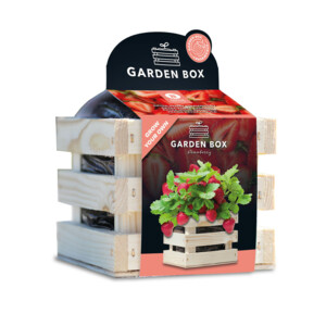 Baza Gardenbox Set Aardbeien - 20.95 euro